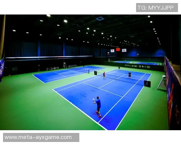 探索体育馆内的多样运动项目及其魅力与特色