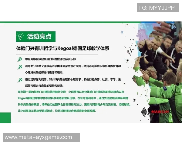深入解析球探足球赛事分析的技巧与策略提升您的投注成功率